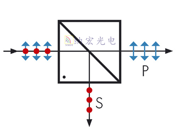 P光和S光