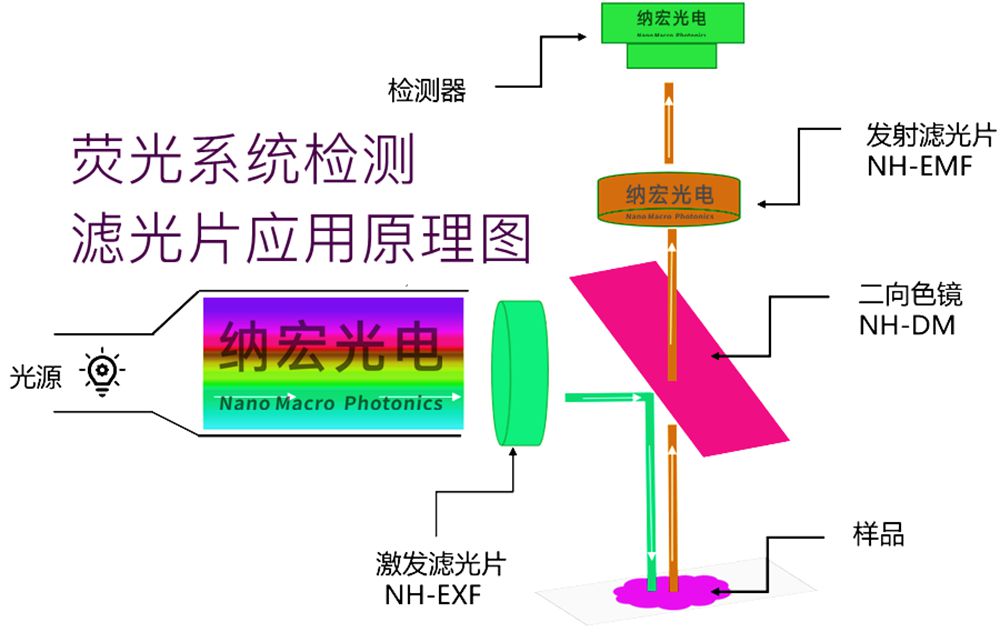 熒光顯微鏡濾光片原理